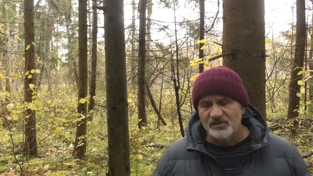 Страх. Как его победить. Что можно и чего точно нельзя делать. смотреть онлайн