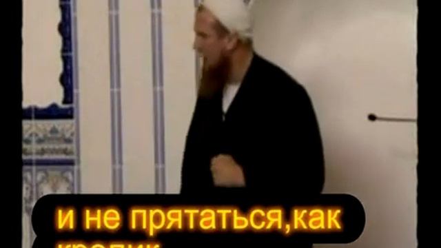Абу Хамза ABU HAMZA PER FOGEL 360
