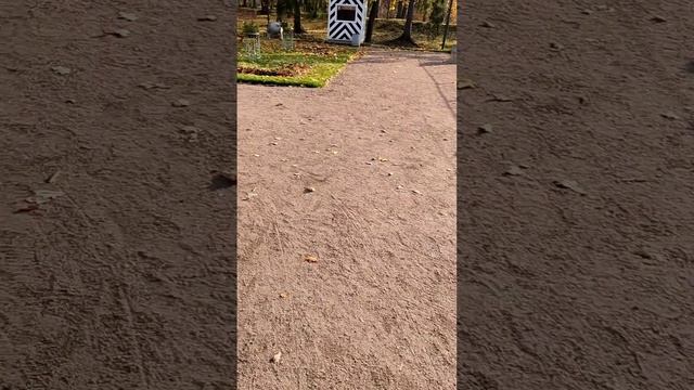 Ораниенбаум.Дворец Петра III