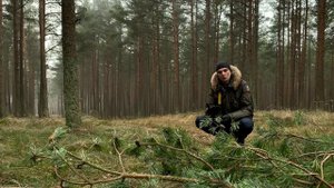 11 быков дзен. 5-й бык. Уроки медитации. Серия 5