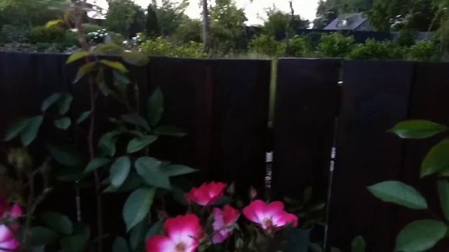 Букаву смотреть онлайн