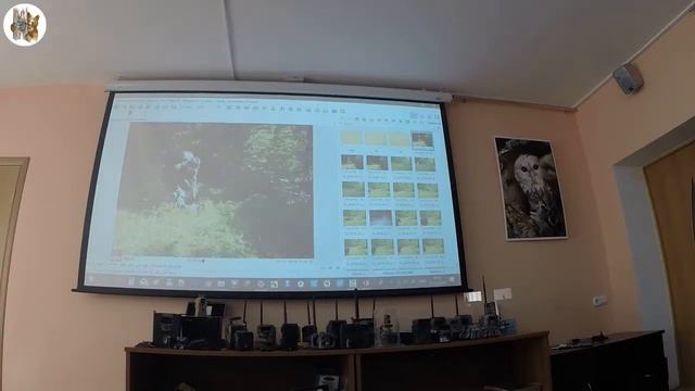 Хосе Антонио Эрнандес-Бланко (ИПЭЭ РАН) - Обработка данных с фотоловушек в FastStone Image смотреть онлайн