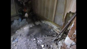 Кладоискатели.  Поиск монет в заброшенных домах.