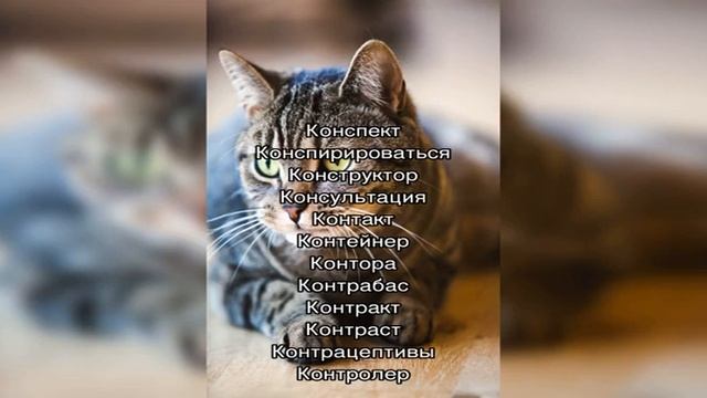 Сонник: толкование снов на букву «К» смотреть онлайн