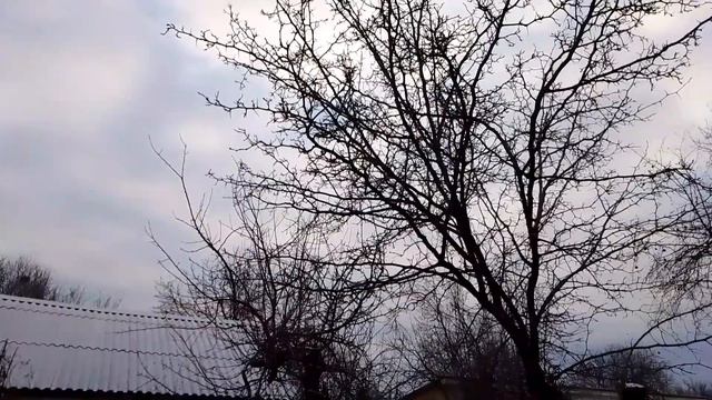 Выпало немного снега и морозец #10февраля #2023год #-3° #морозно #снегидет #снежнаязима #пасмурно