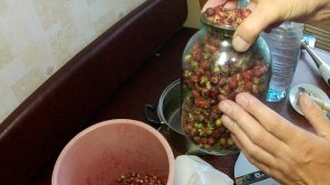 Клубничное вино в домашних условиях. Рецепт приготовления вкусного вина из клубники лесной