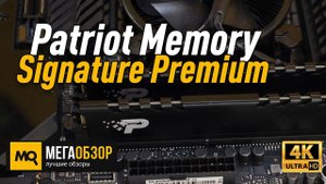 Patriot Memory Signature Premium обзор оперативной памяти
