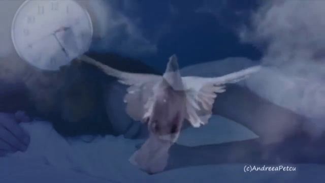 Крылья птицы..Мелодекламация на стихи Бориса Рудина