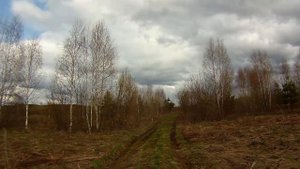 5  Рамка биолокационная, как можно вести поиск