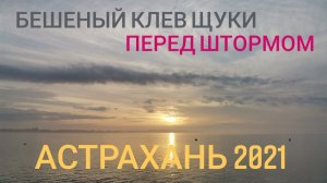 Апрельская рыбалка в Астрахани 2021.  База Альпийская деревня. Третий день.