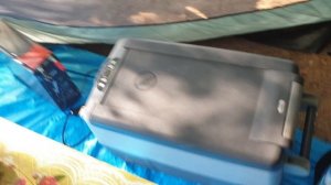 Краткий обзор отдыха в кемпинге на озере Ханка в Приморском крае