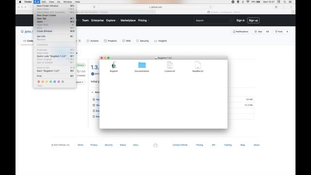 The easiest way to install the original Bugdom on your modern Mac! смотреть онлайн