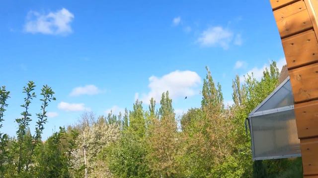 #LOT2 - 8.05.2022 🏁PODIUM JEST NASZE! 🏆😍 w rodzinie SIŁA 🦾 Zbigniew Rodak PZHGP 0309 Szczecin смотреть онлайн