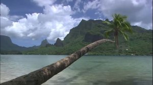 Таити, Французская Полинезия