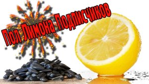 Пол Лимона Подписчиков (Упоротый Ролик!)