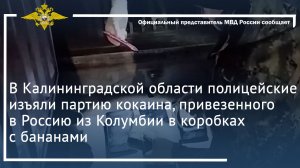Полицейские изъяли партию кокаина, привезенного в Россию из Колумбии в коробках с бананами