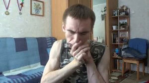 instrumental harmonica cover \ 9 симфония. Ода к радости. (Л. В. Бетховен)