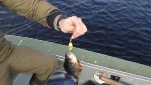 Рыбалка на Васюганских болотах. Озеро Теннис.