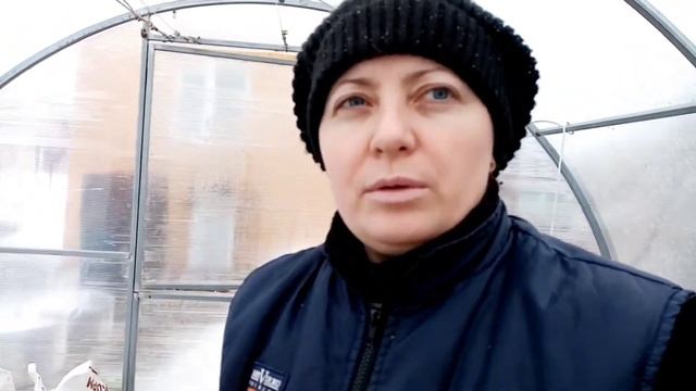 Зимовка свиней в теплице. Кормление свиней.