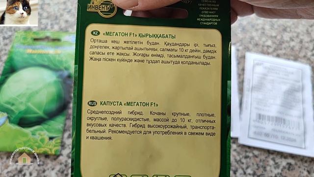 Лучшие ранние средние и поздние сорта белокочанной капусты