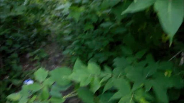 Правда о спайсе в башне смотреть онлайн