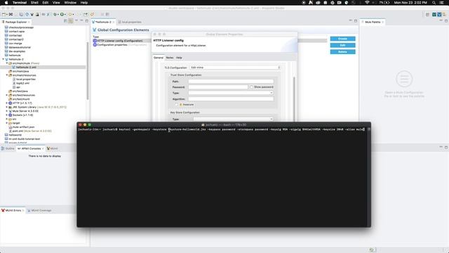 How to build an HTTPS Service/secured endpoint in Anypoint Studio смотреть онлайн