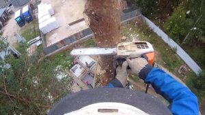 Спил дерева частями от первого лица Tree Removal