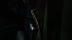 установка дизельного обогревателя на транспортер т4