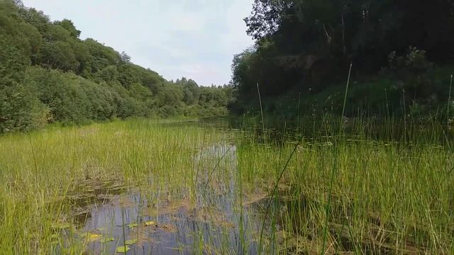 р. Черёха Псковский район смотреть онлайн