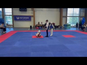 Жесткий нокаут тхэквондо