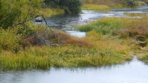 Воломы.Вологодская область.Рыбалка и отдых в диких местах.Несколько дней в глуши.Часть 2.