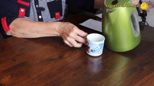 Как вырастить клещевину - сибирскую пальму?