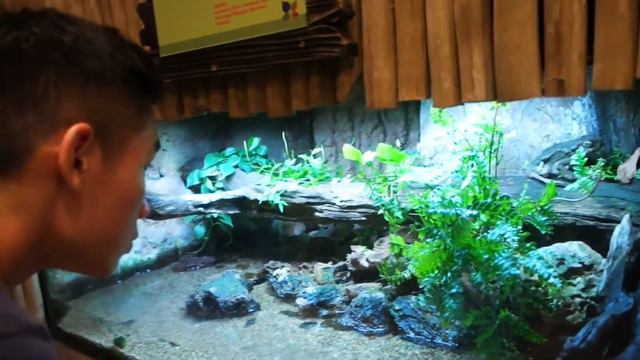 VLOG 3: WE WENT TO THE ZOO! смотреть онлайн