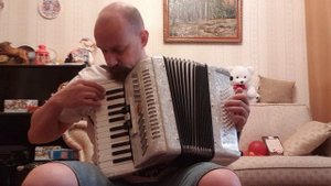 Аккордеон Farinelli. Размер 1/2. Детский. Демонстрация.