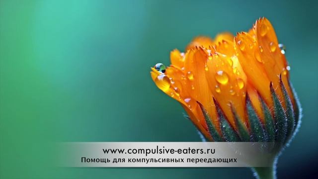 Компульсивное переедание: Спикерская Кэти