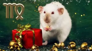 Тамара Глоба. Гороскоп на 2020 год.