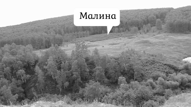 Пруд Согласие. Тисульский район. смотреть онлайн