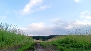 Haval JOLION DV4 Просто монстр по бездорожье