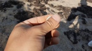 НАШЕЛ МНОГО СЕРЕБРЯННЫХ НАХОДОК после Шторма!!! Пляжный коп в Крыму