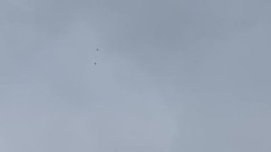 Игра с тягой #голуби #махачкала #pigeons #голубидагестан #бакинскиеголуби