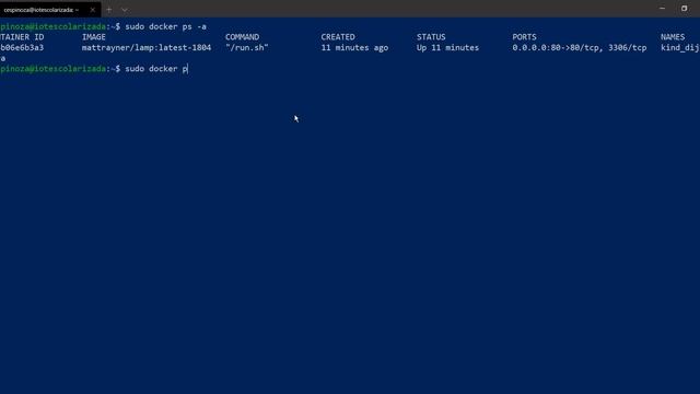 Creando una API mediante Docker y LAMP смотреть онлайн