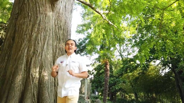 Путешествие по "Артеку" смотреть онлайн