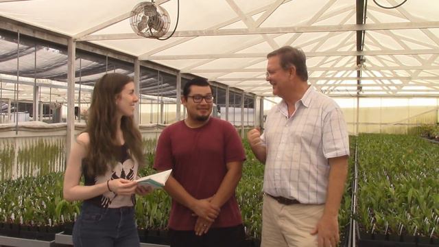 Interview with Fred and Carlos at Sunset Valley Orchids - 2018! смотреть онлайн
