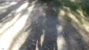 Услышали звук бомбы! Не наигранно! Жесть!