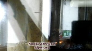 Убираем разводы за 1 минуту! Вымыть окна и зеркала без разводов средством из аптечки.