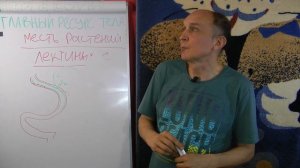 Главный ресурс тела. Ч14 Лектины, пропионовокислые бактерии