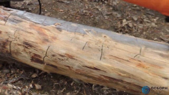 Шлифовка бревна (сухостоя) и снятие старой краски с досок. смотреть онлайн