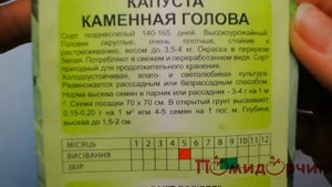 Семена Капусты Каменная Голова - Помидорчик