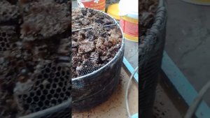 паровая воска топка! своими руками!