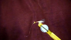 Ставка самодур на ставриду